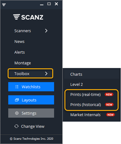 Time & Sales done right... we call it Prints.