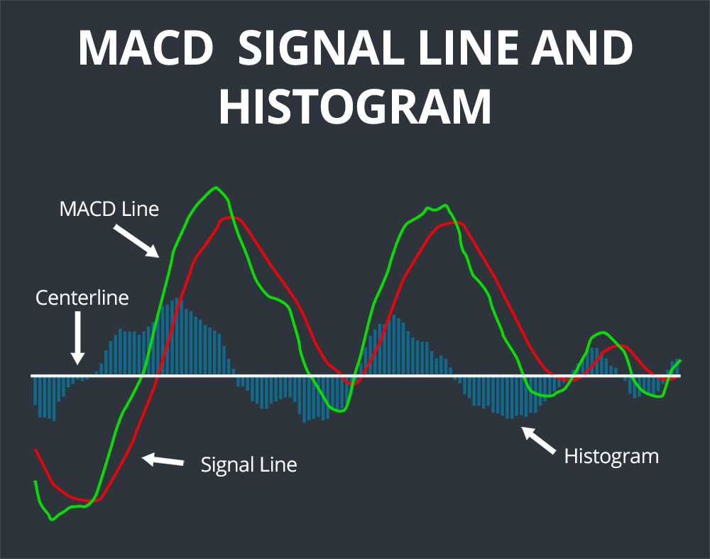 what is macd in crypto