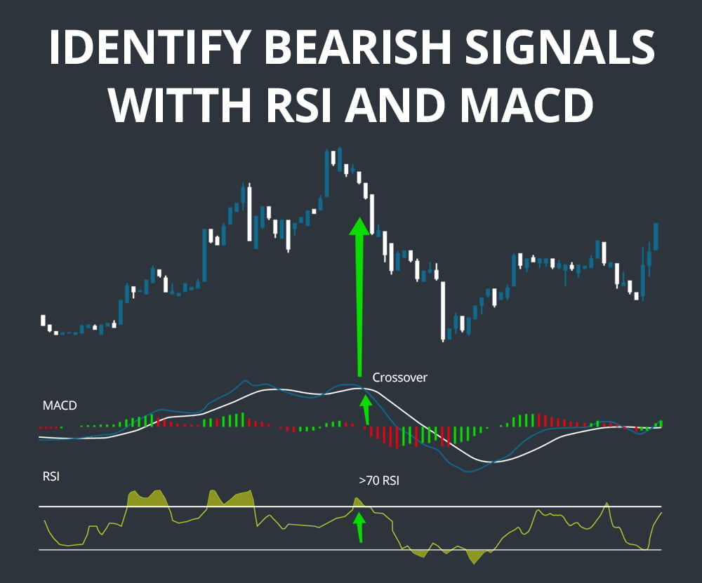 macd and rsi indicators